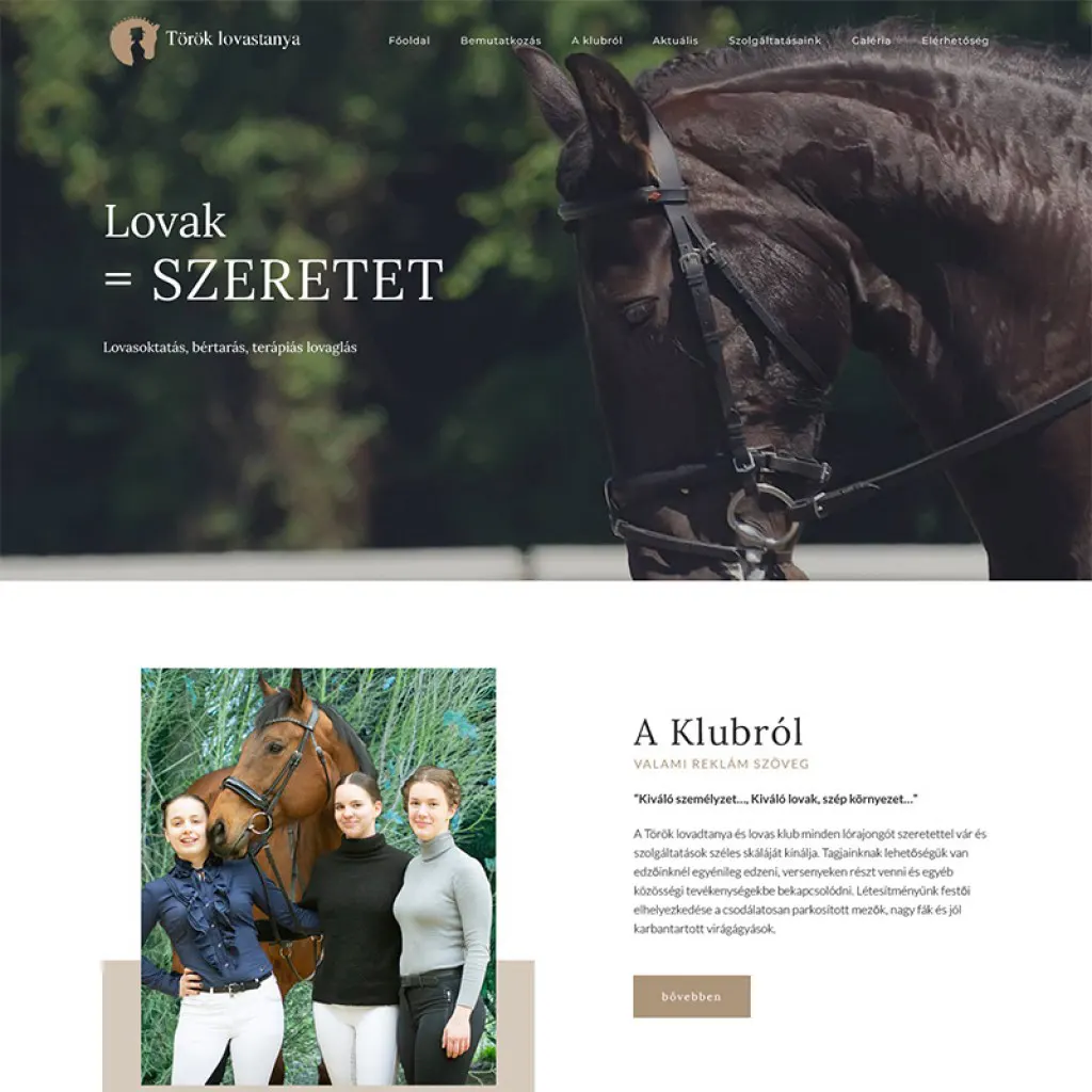 Weboldal kszts, webshop kszts, egyedi webdizjn, Nagykanizsa, Keresoptimalizls, seo