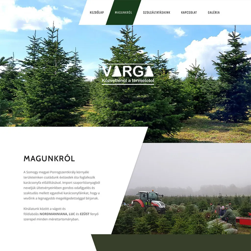 Weboldal kszts, webshop kszts, egyedi webdizjn, Nagykanizsa, Keresoptimalizls, seo